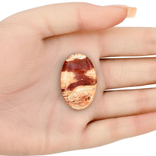 Snake Skin Jasper 33.7x21.7x5.5 mm Oval Gemstone LS01602-11