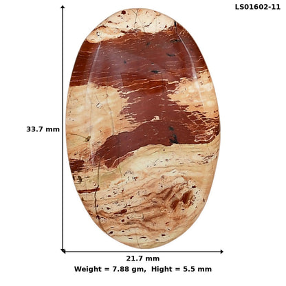 Snake Skin Jasper 33.7x21.7x5.5 mm Oval Gemstone LS01602-11