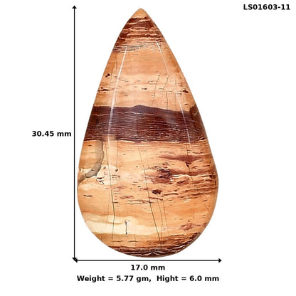 Snake Skin Jasper 30.45x17x6 mm Pear Gemstone LS01603-11