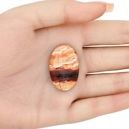 Snake Skin Jasper 32.55x20.85x6 mm Oval Gemstone LS01607-11