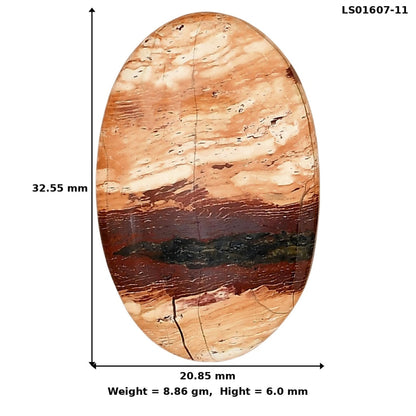 Snake Skin Jasper 32.55x20.85x6 mm Oval Gemstone LS01607-11