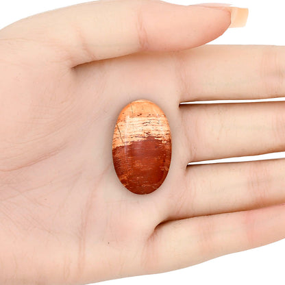 Snake Skin Jasper 30.3x19x6.5 mm Oval Gemstone LS01608-11