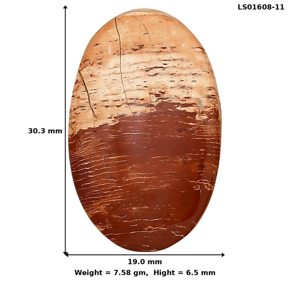 Snake Skin Jasper 30.3x19x6.5 mm Oval Gemstone LS01608-11