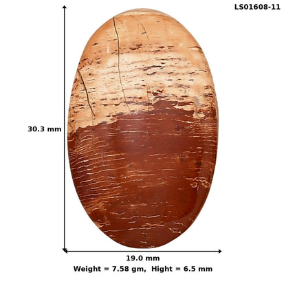 Snake Skin Jasper 30.3x19x6.5 mm Oval Gemstone LS01608-11
