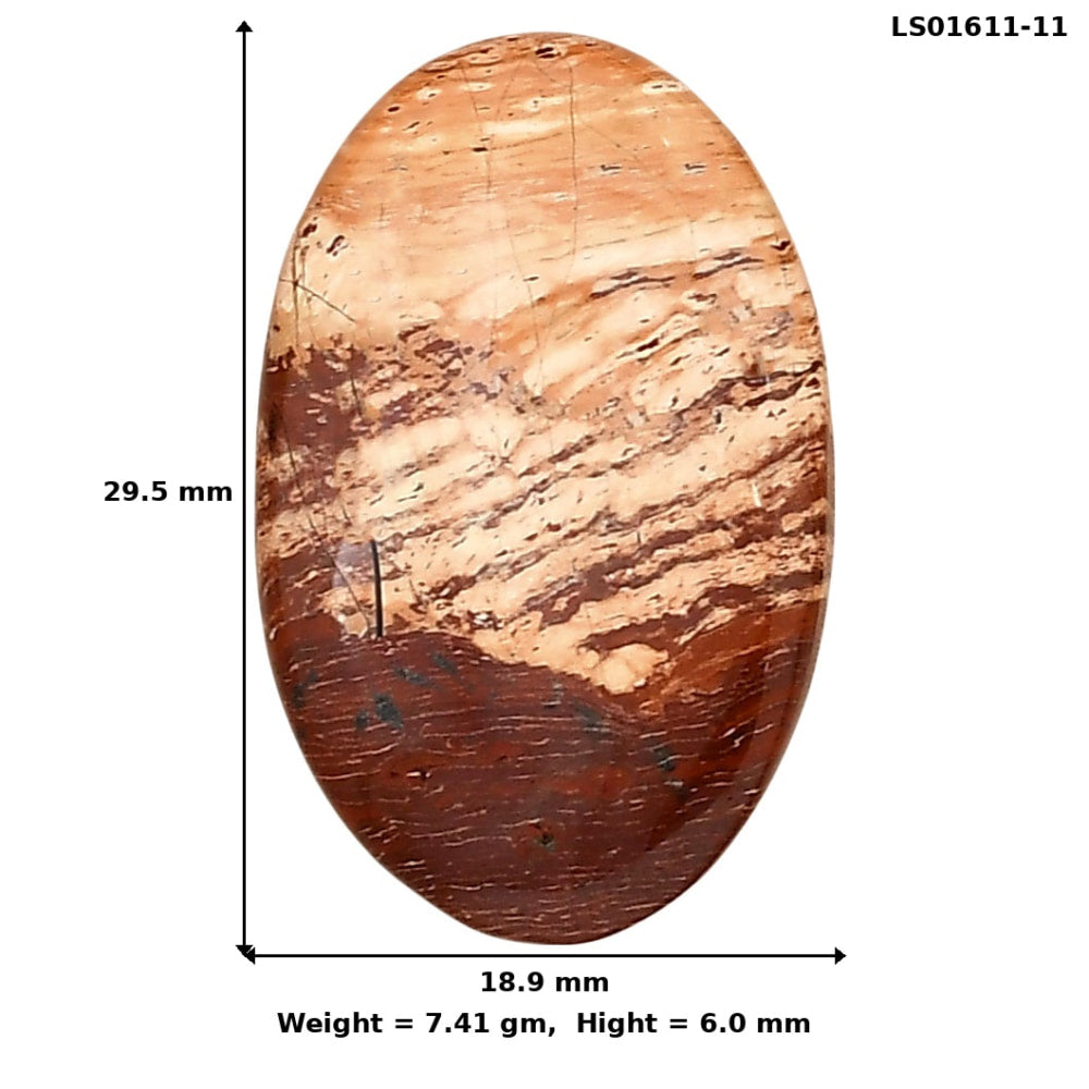 Snake Skin Jasper 29.5x18.9x6 mm Oval Gemstone LS01611-11