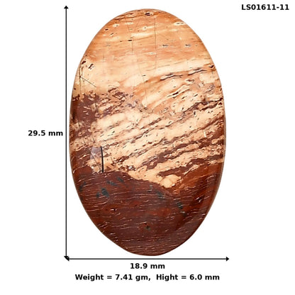 Snake Skin Jasper 29.5x18.9x6 mm Oval Gemstone LS01611-11