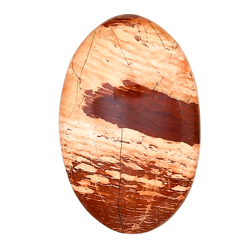 Snake Skin Jasper 29x18.7x6.5 mm Oval Gemstone LS01612-11