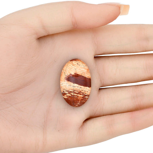 Snake Skin Jasper 29x18.7x6.5 mm Oval Gemstone LS01612-11