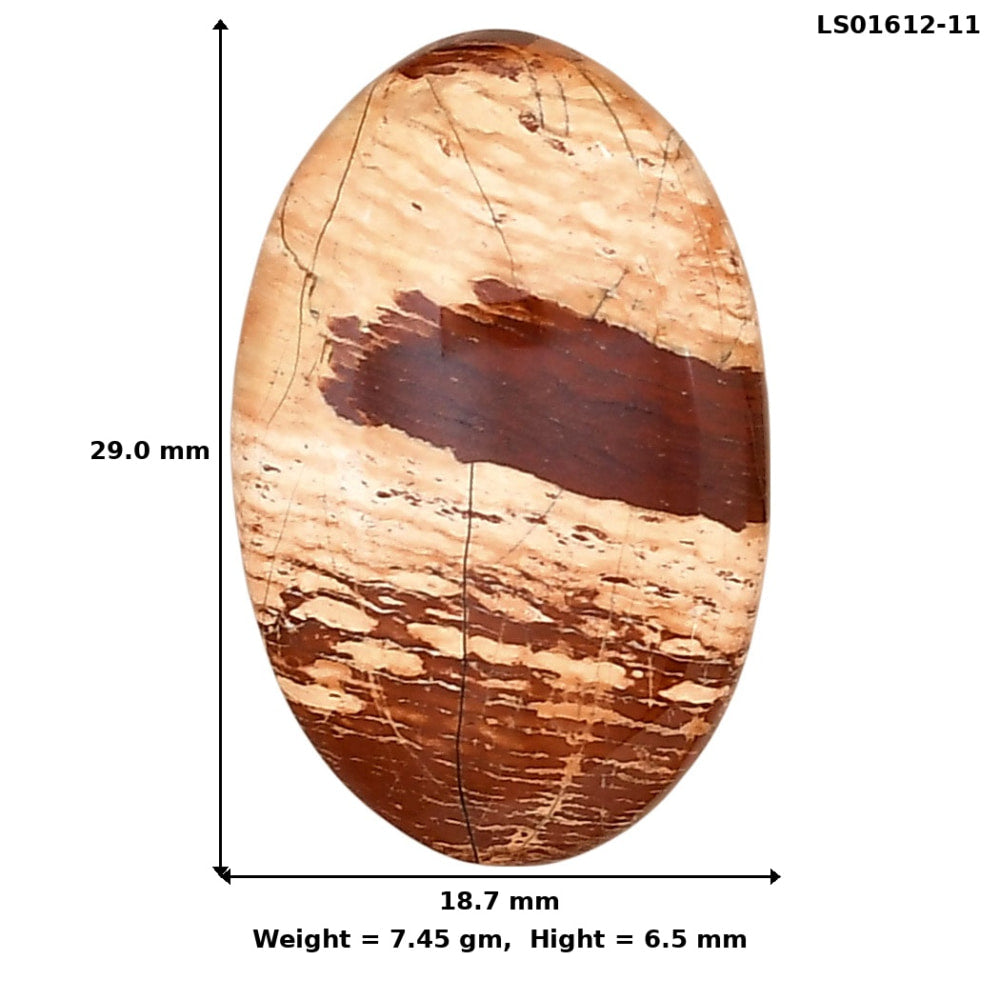 Snake Skin Jasper 29x18.7x6.5 mm Oval Gemstone LS01612-11