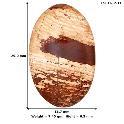 Snake Skin Jasper 29x18.7x6.5 mm Oval Gemstone LS01612-11