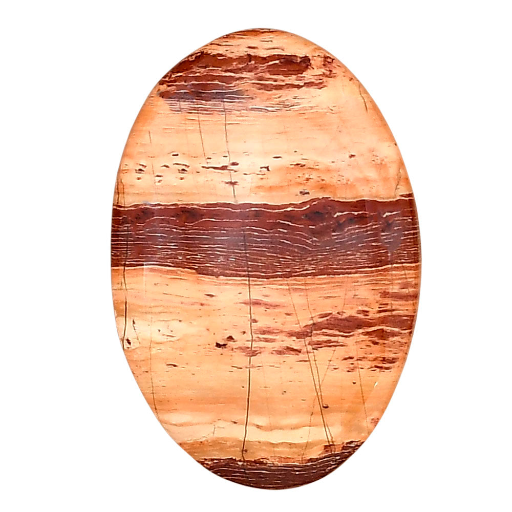 Snake Skin Jasper 31.5x21.4x5.5 mm Oval Gemstone LS01613-11