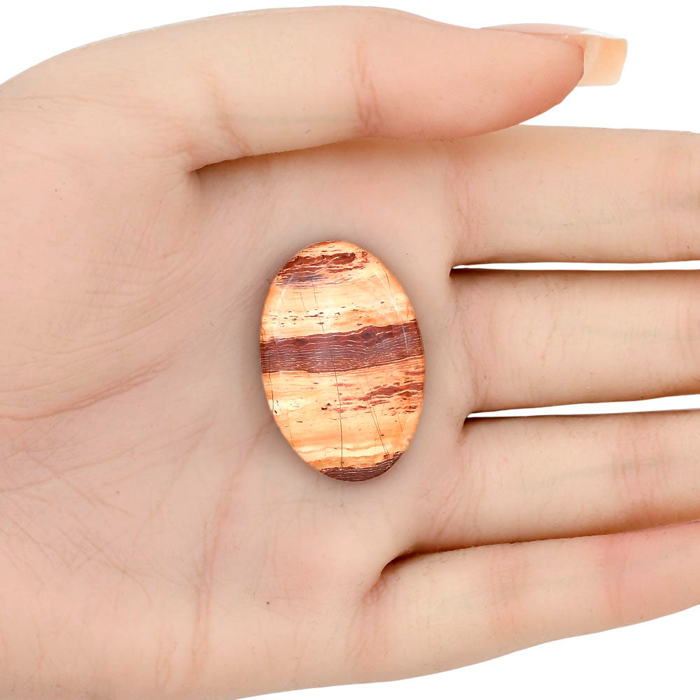 Snake Skin Jasper 31.5x21.4x5.5 mm Oval Gemstone LS01613-11