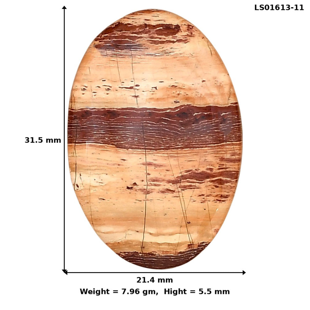 Snake Skin Jasper 31.5x21.4x5.5 mm Oval Gemstone LS01613-11
