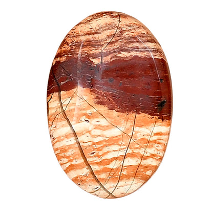 Snake Skin Jasper 28.3x19x6 mm Oval Gemstone LS01618-11