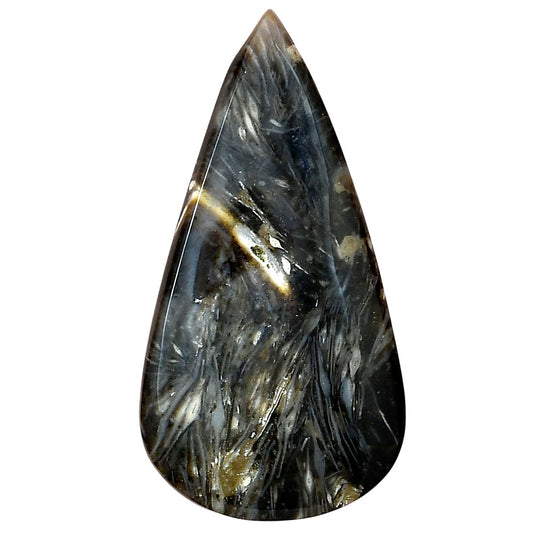 Bat Cave Jasper 46.3x24.3x5.5 mm Pear Gemstone LS01626-21