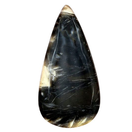 Bat Cave Jasper 44x22.5x5.6 mm Pear Gemstone LS01633-21