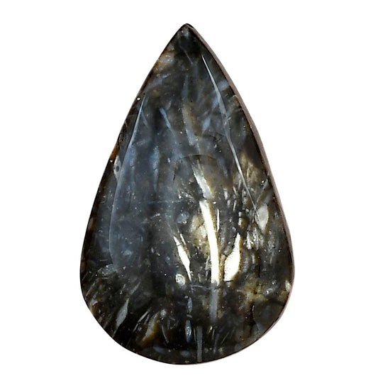 Bat Cave Jasper 34.3x21.6x7 mm Pear Gemstone LS01634-21