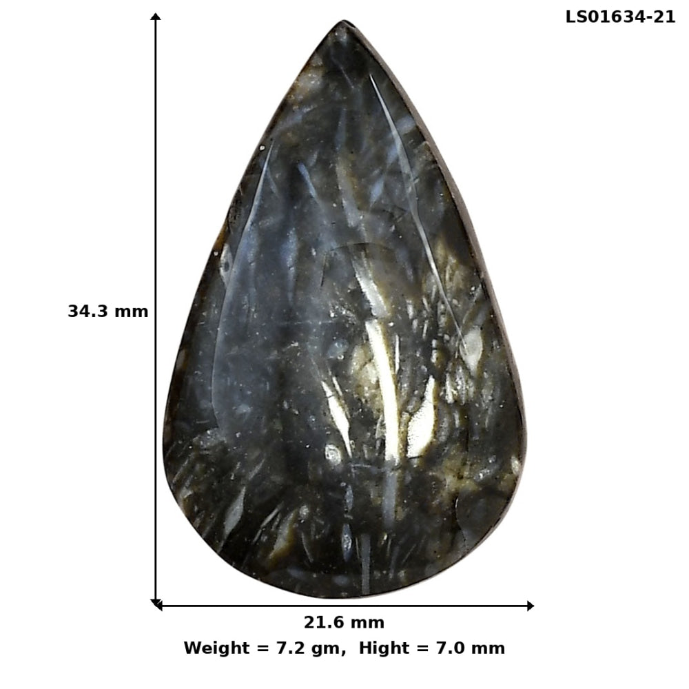 Bat Cave Jasper 34.3x21.6x7 mm Pear Gemstone LS01634-21