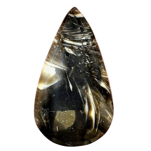 Bat Cave Jasper 37.1x21.1x5.5 mm Pear Gemstone LS01642-21