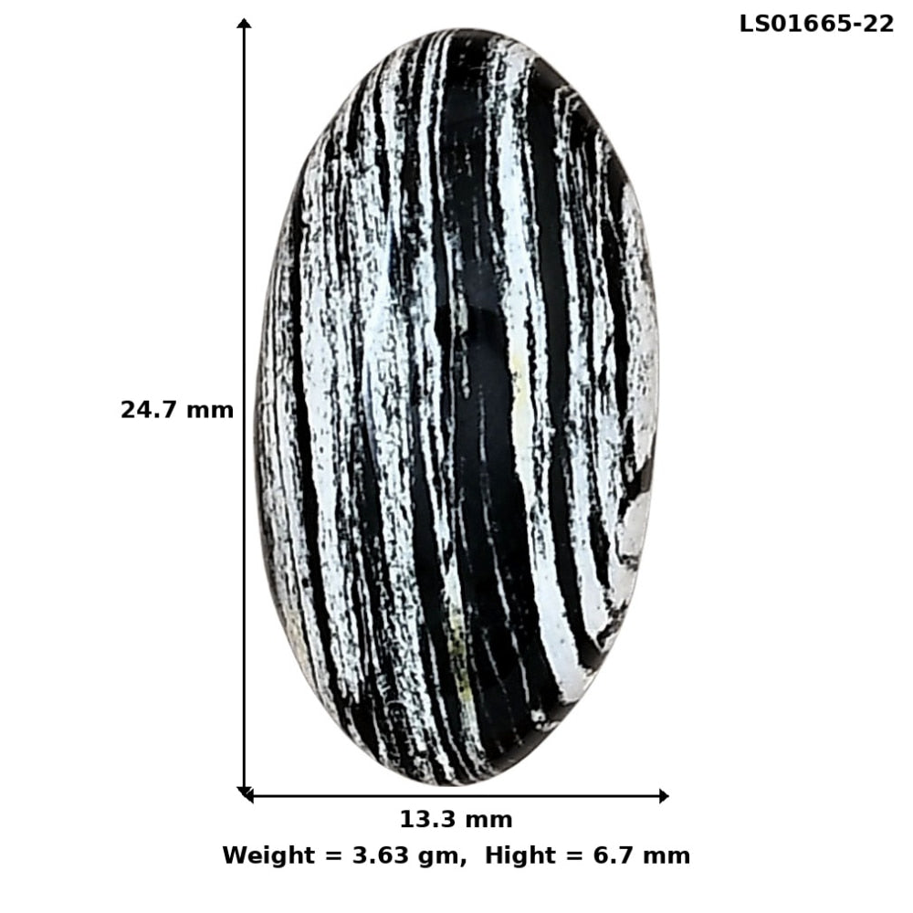 Silver Leaf Obsidian 24.7x13.3x6.7 mm Oval Gemstone LS01665-22