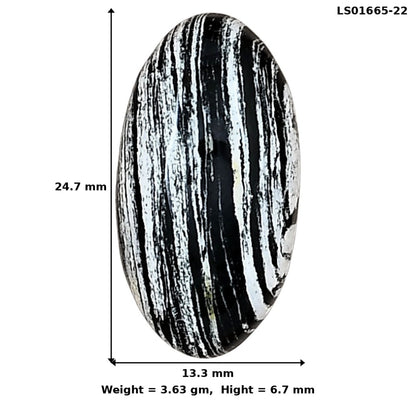 Silver Leaf Obsidian 24.7x13.3x6.7 mm Oval Gemstone LS01665-22