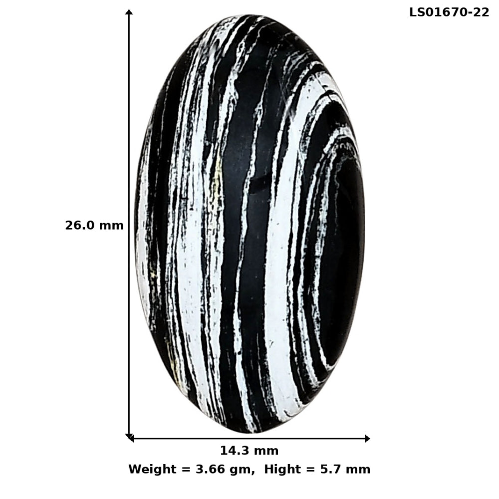Silver Leaf Obsidian 26x14.3x5.7 mm Oval Gemstone LS01670-22