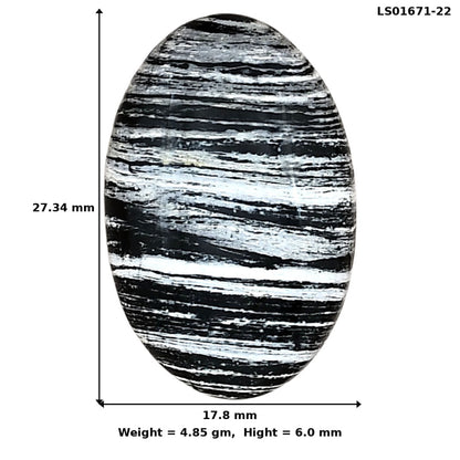 Silver Leaf Obsidian 27.34x17.8x6 mm Oval Gemstone LS01671-22