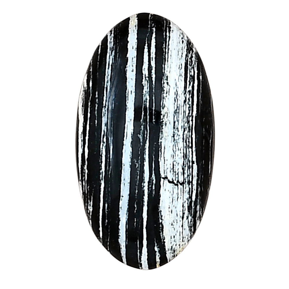 Silver Leaf Obsidian 25.1x13.8x6 mm Oval Gemstone LS01678-22
