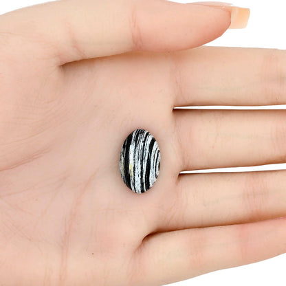 Silver Leaf Obsidian 19.5x12.5x6 mm Oval Gemstone LS01683-22