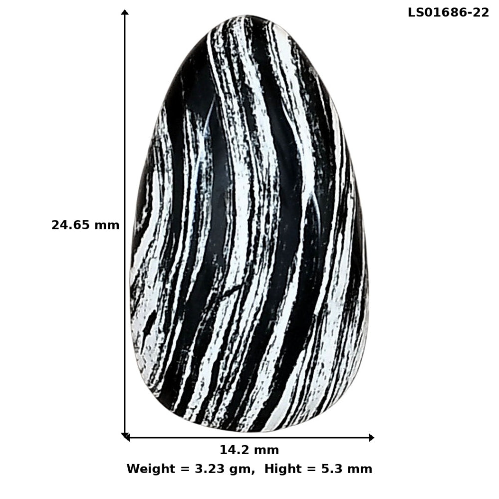 Silver Leaf Obsidian 24.65x14.2x5.3 mm Fancy Gemstone LS01686-22