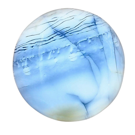 Owyhee Opal 21.5x21.5x6.3 mm Round Gemstone LS01689-23