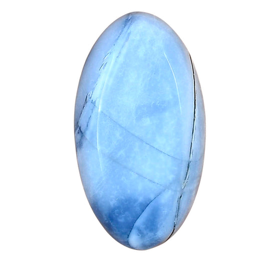Owyhee Opal 29.9x16.7x7 mm Oval Gemstone LS01709-23