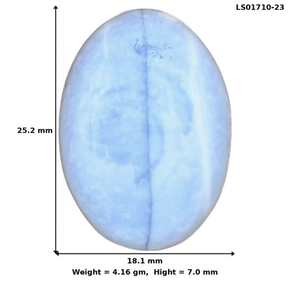 Owyhee Opal 25.2x18.1x7 mm Oval Gemstone LS01710-23
