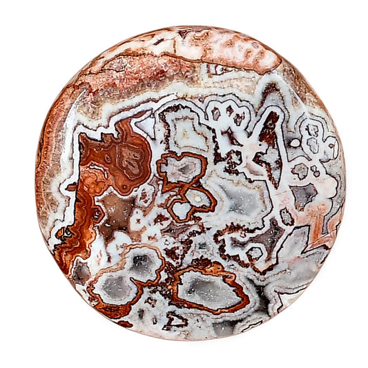 Rosetta Picture Jasper 27.5x27.5x5.5 mm Round Gemstone LS01718-24