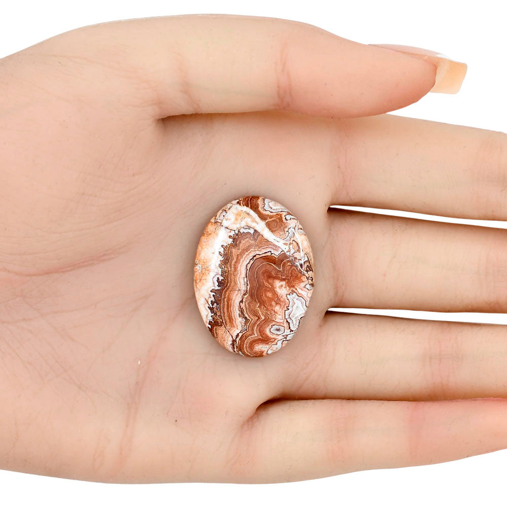 Rosetta Picture Jasper 30.5x22.8x5.5 mm Oval Gemstone LS01720-24