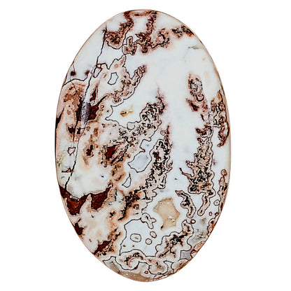 Rosetta Picture Jasper 29.7x19.2x5 mm Oval Gemstone LS01726-24