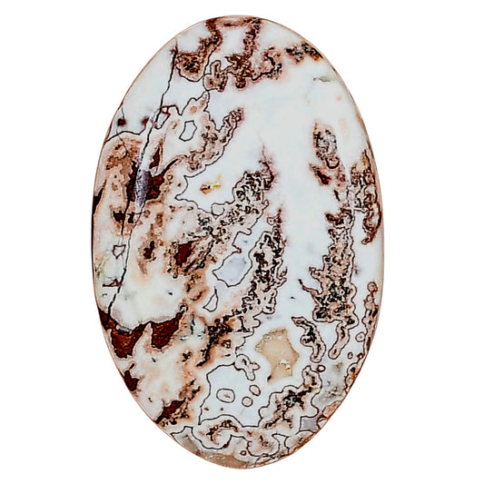 Rosetta Picture Jasper 29.7x19.2x5 mm Oval Gemstone LS01726-24