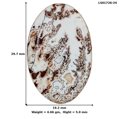 Rosetta Picture Jasper 29.7x19.2x5 mm Oval Gemstone LS01726-24