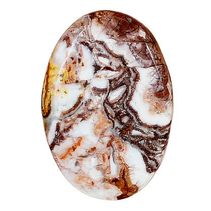 Rosetta Picture Jasper 30x20.7x5 mm Oval Gemstone LS01733-24