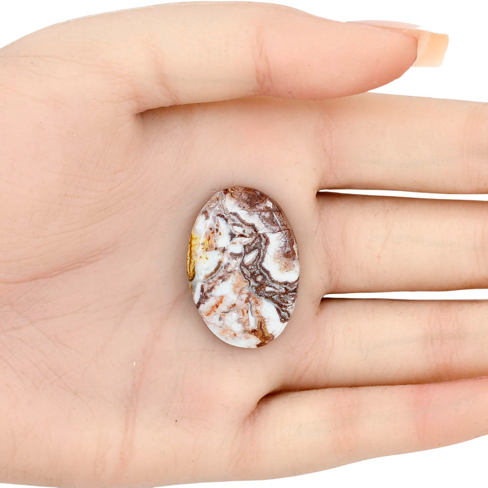 Rosetta Picture Jasper 30x20.7x5 mm Oval Gemstone LS01733-24