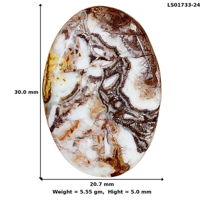 Rosetta Picture Jasper 30x20.7x5 mm Oval Gemstone LS01733-24