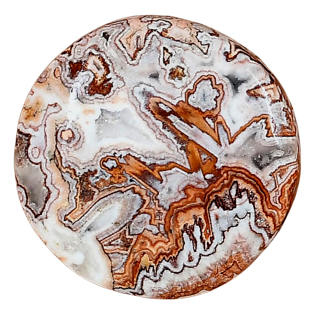 Rosetta Picture Jasper 26.7x26.7x6 mm Round Gemstone LS01734-24