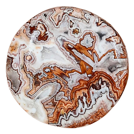 Rosetta Picture Jasper 26.7x26.7x6 mm Round Gemstone LS01734-24