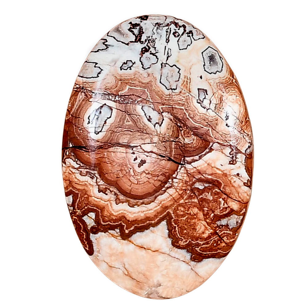 Rosetta Picture Jasper 30.8x20.7x6 mm Oval Gemstone LS01738-24