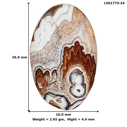 Rosetta Picture Jasper 26.6x16x4 mm Oval Gemstone LS01775-24
