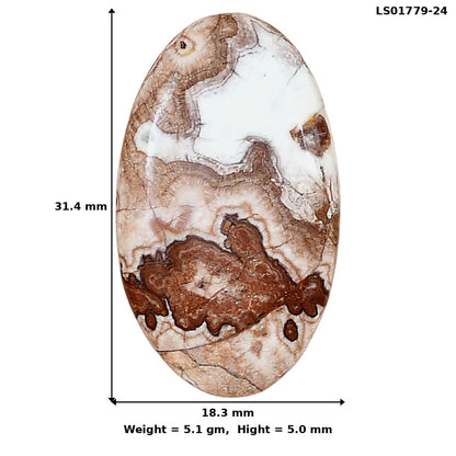 Rosetta Picture Jasper 31.4x18.3x5 mm Oval Gemstone LS01779-24