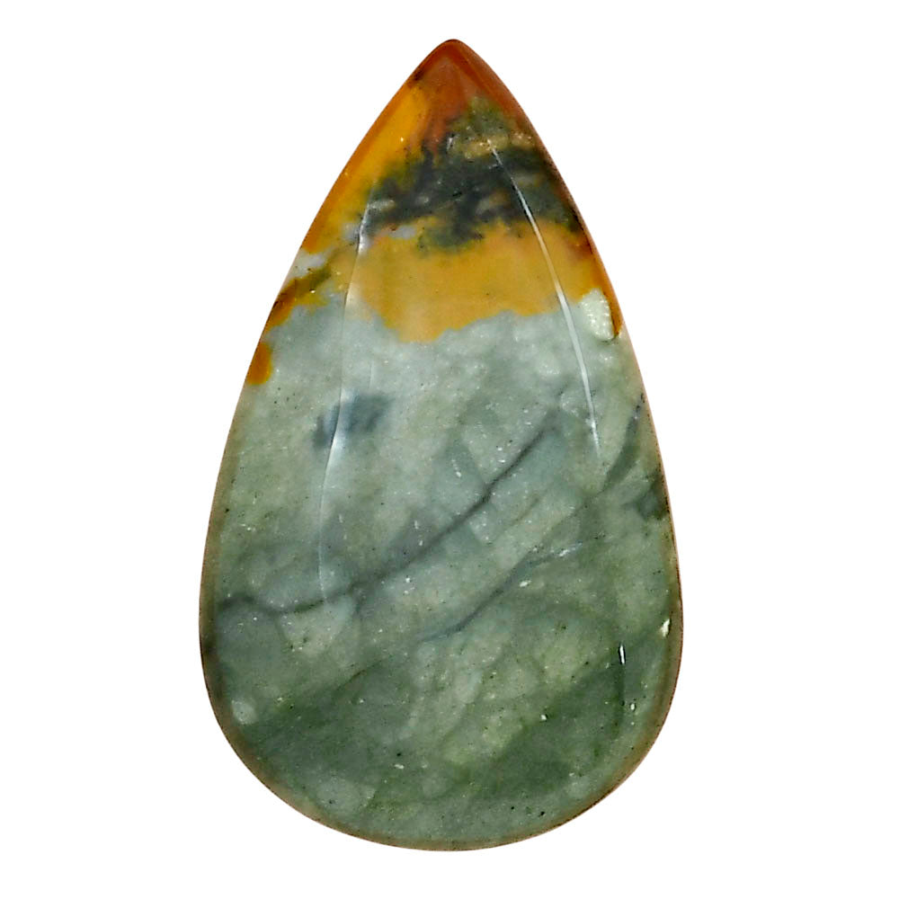 Rocky Butte Picture Jasper 33.3x20x6.4 mm Pear Gemstone LS01784-25