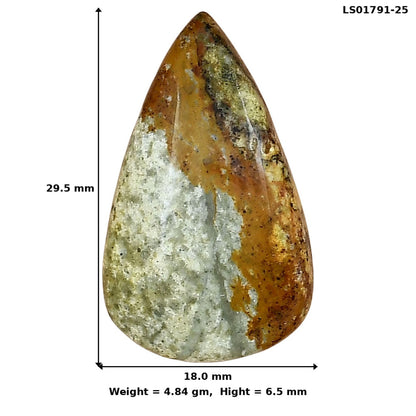 Rocky Butte Picture Jasper 29.5x18x6.5 mm Pear Gemstone LS01791-25