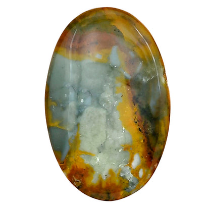 Rocky Butte Picture Jasper 31.5x20.5x5 mm Oval Gemstone LS01792-25