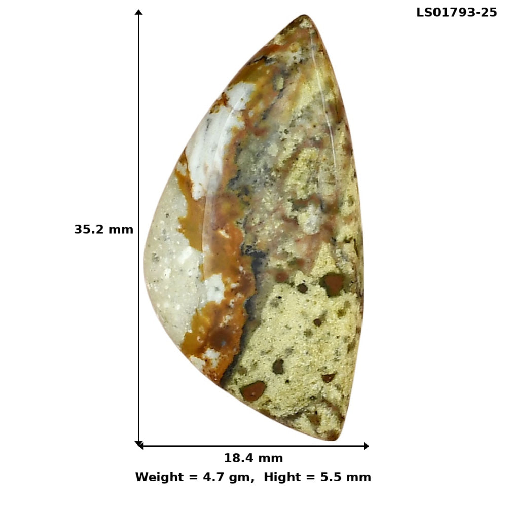 Rocky Butte Picture Jasper 35.2x18.4x5.5 mm Fancy Gemstone LS01793-25